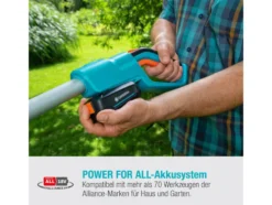 Akku-Teleskop-Heckenschere »THS 42/18V Power For All«