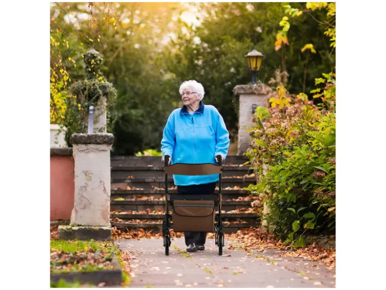 Aluminium Rollator »Vital«, klappbar