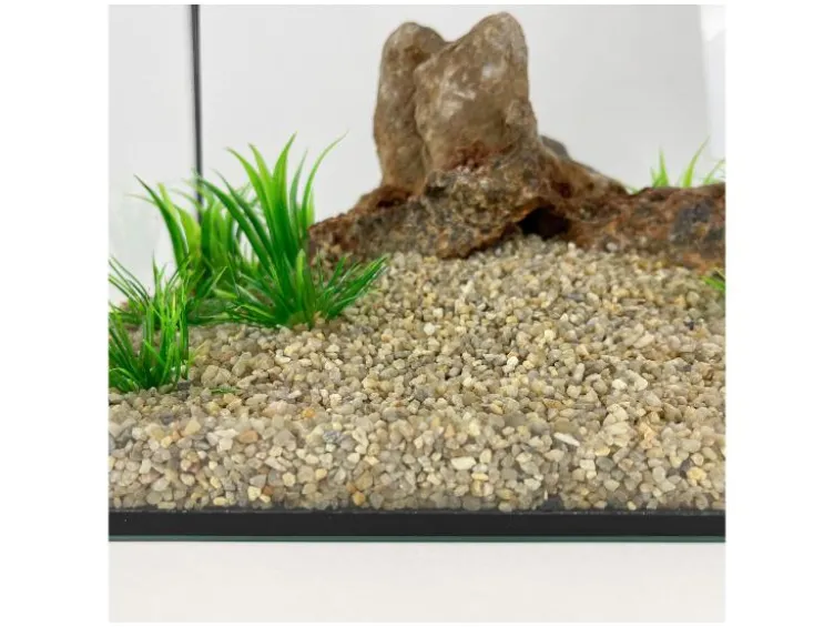 Aquariumkies