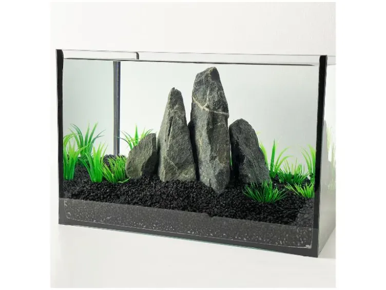 Aquariumkies
