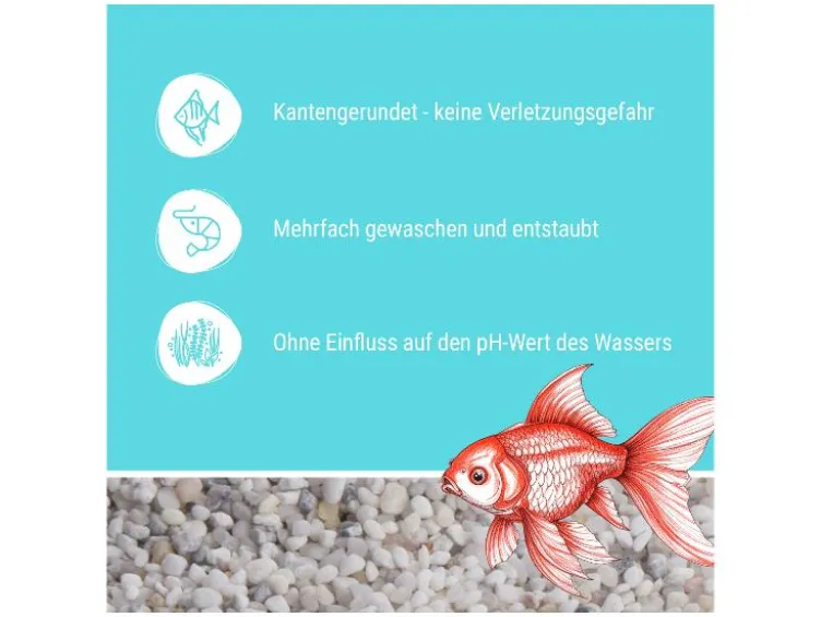 Aquariumkies
