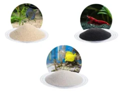 Aquariumsand