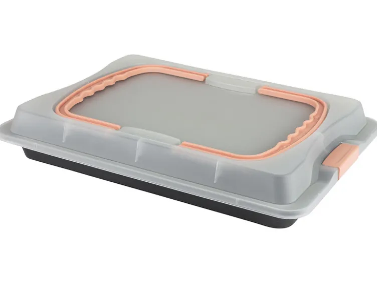 Back-Container mit Transporthaube