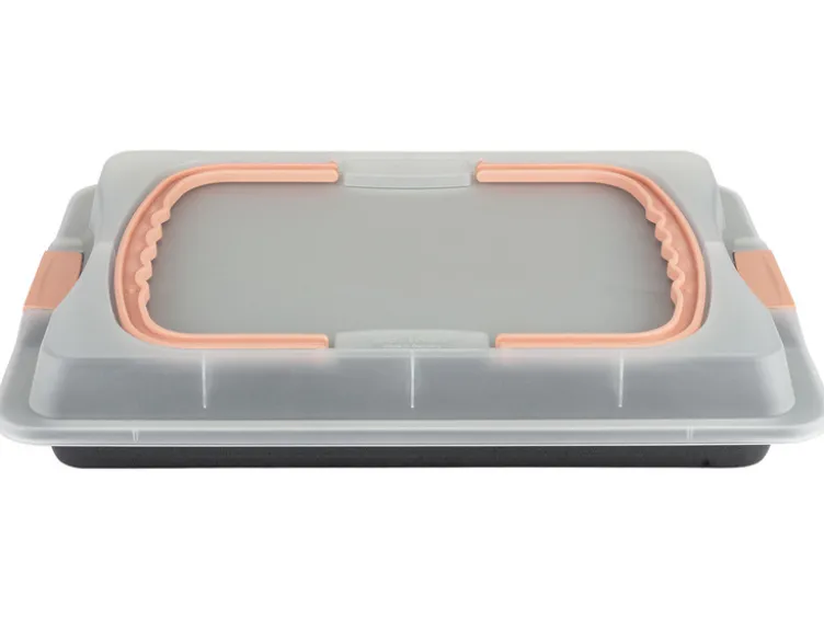 Back-Container mit Transporthaube