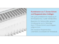 BADENIA TRENDLINE 7-Zonen-Kaltschaummatratze »BT 260«, mit Noppenauflage