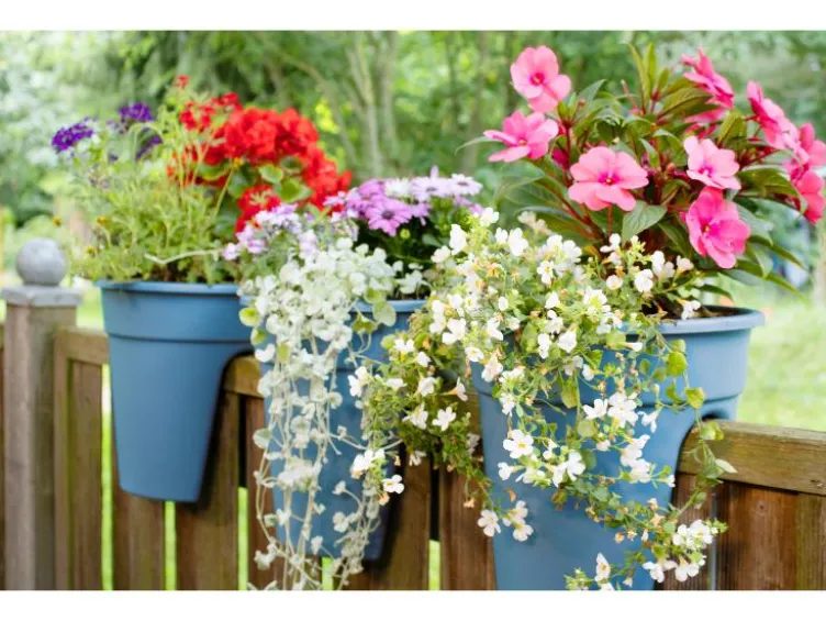 Balkonkasten »Flowerclip«, 3er Set