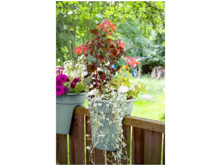 Balkonkasten »Flowerclip«, 3er Set