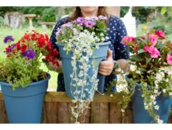 Balkonkasten »Flowerclip«, 3er Set