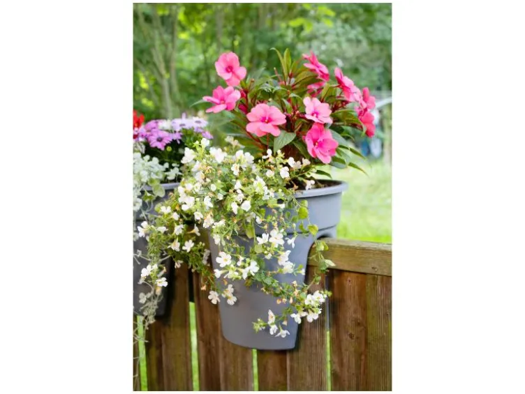 Balkonkasten »Flowerclip«, 3er Set