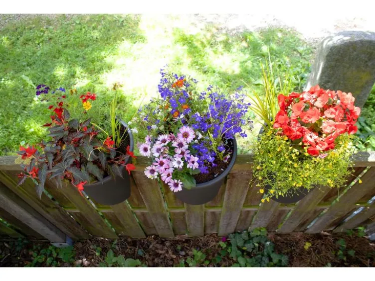 Balkonkasten »Flowerclip«, 3er Set