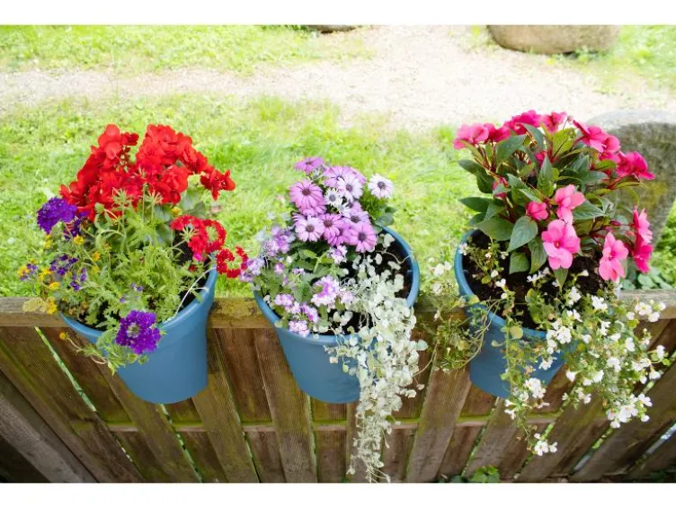 Balkonkasten »Flowerclip«, 3er Set