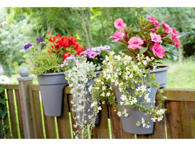 Balkonkasten »Flowerclip«, 3er Set