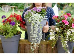 Balkonkasten »Flowerclip«, 3er Set