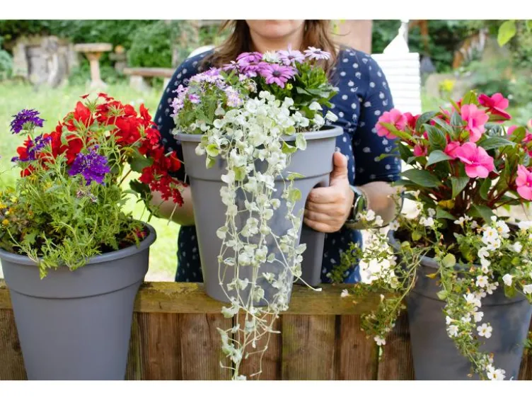 Balkonkasten »Flowerclip«, 3er Set