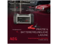 Batterieladegerät LT 10
