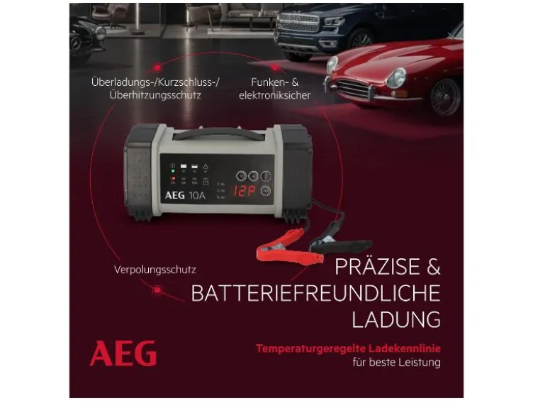 Batterieladegerät LT 10