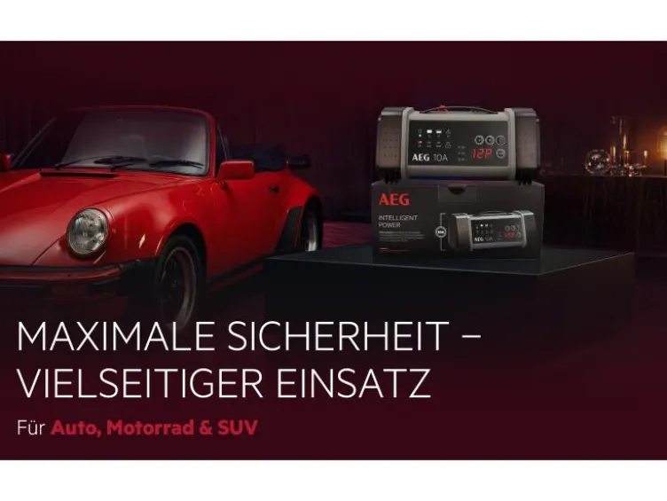 Batterieladegerät LT 10