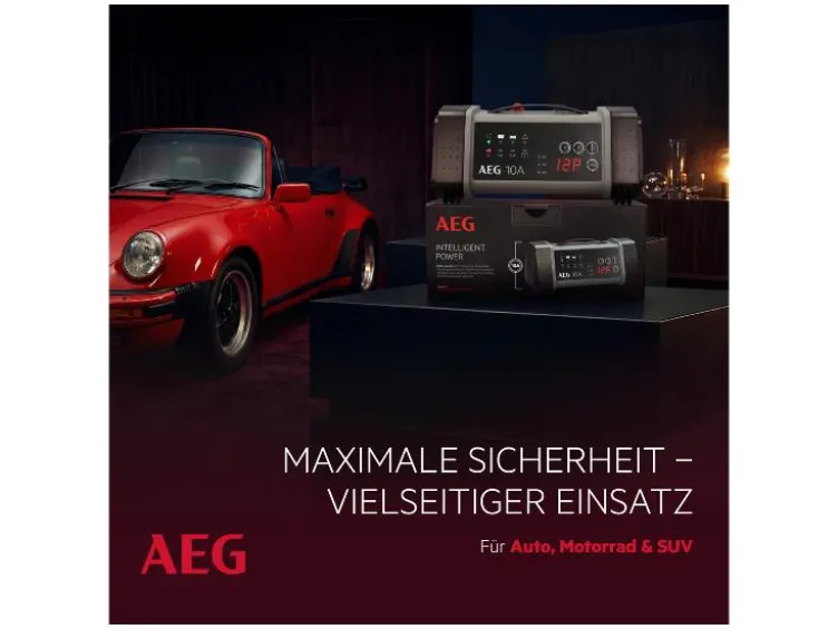 Batterieladegerät LT 10