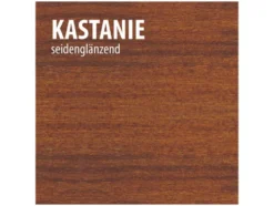 BAUFIX Wetterschutz-Holzgel, seidenglänzend