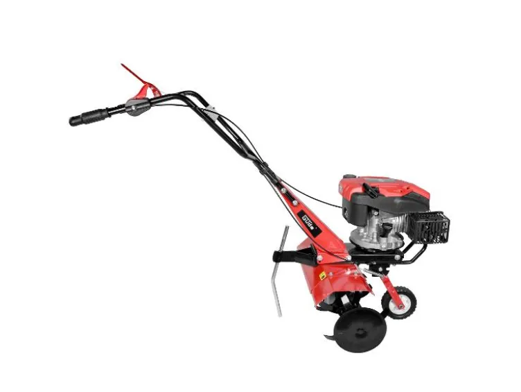 Benzin Gartenfräse »GF 3060.1«