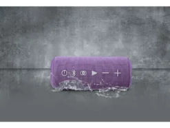 Bluetooth®-Lautsprecher »Rhythm Go«, mit PartyPlay