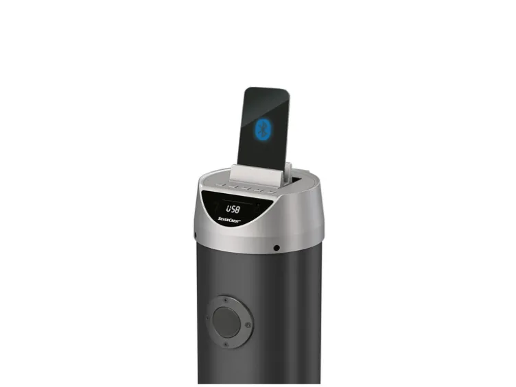 Bluetooth®-Soundtower »SSTB 30 A1«, 2x 15 W