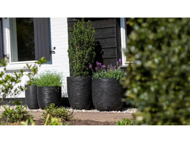 Blumentopf, kugelförmig