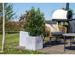 Blumentopf quadratisch