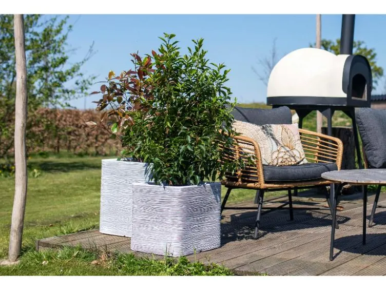 Blumentopf quadratisch