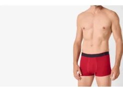 Boxer, 3 Stück