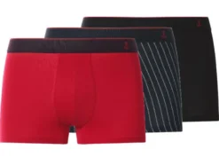 Boxer, 3 Stück