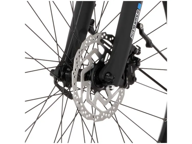 City E-Bike Cita 2403/2404 28 Zoll