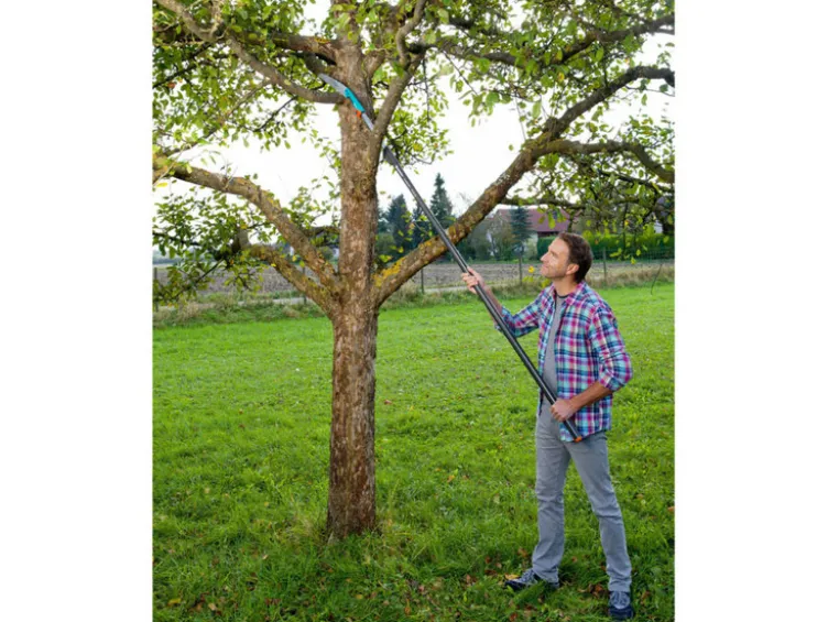 combisystem-Gartensäge »300 PP«