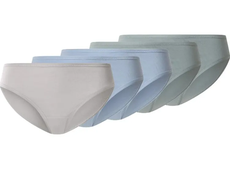Damen Slips, 5 Stück
