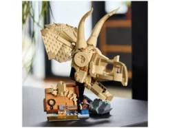 76969 Dinosaurier-Fossilien: Triceratops-Schädel