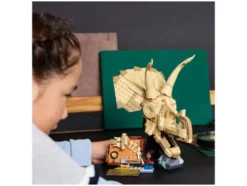 76969 Dinosaurier-Fossilien: Triceratops-Schädel