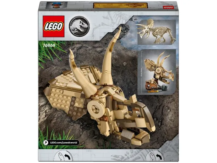 76969 Dinosaurier-Fossilien: Triceratops-Schädel