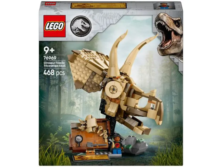 76969 Dinosaurier-Fossilien: Triceratops-Schädel