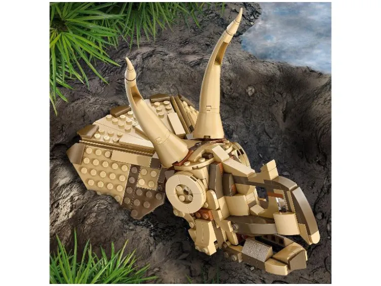 76969 Dinosaurier-Fossilien: Triceratops-Schädel