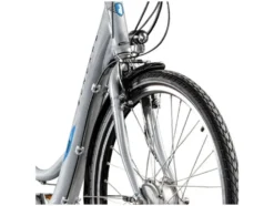 E-Bike City »Green 2.7«, 26 Zoll / 28 Zoll