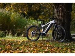 E-Bike Mountainbike »Dice 5.0« 27,5 Zoll