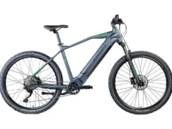 E-Bike Mountainbike »Z808 650B«, MTB, 27,5 Zoll / 29 Zoll