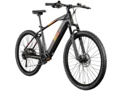 E-Bike Mountainbike »Z808 650B«, MTB, 27,5 Zoll / 29 Zoll