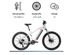 E-Bike Mountainbike »Z898«, 27,5 Zoll