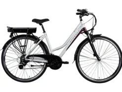 E-Bike Trekkingrad »Z802 700c«, 28 Zoll