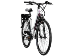E-Bike Trekkingrad »Z802 700c«, 28 Zoll