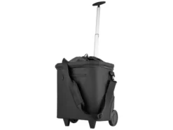 Einkaufstrolley, 40 l, mit Teleskopgriff und Innentasche mit Einkaufswagen-Chips