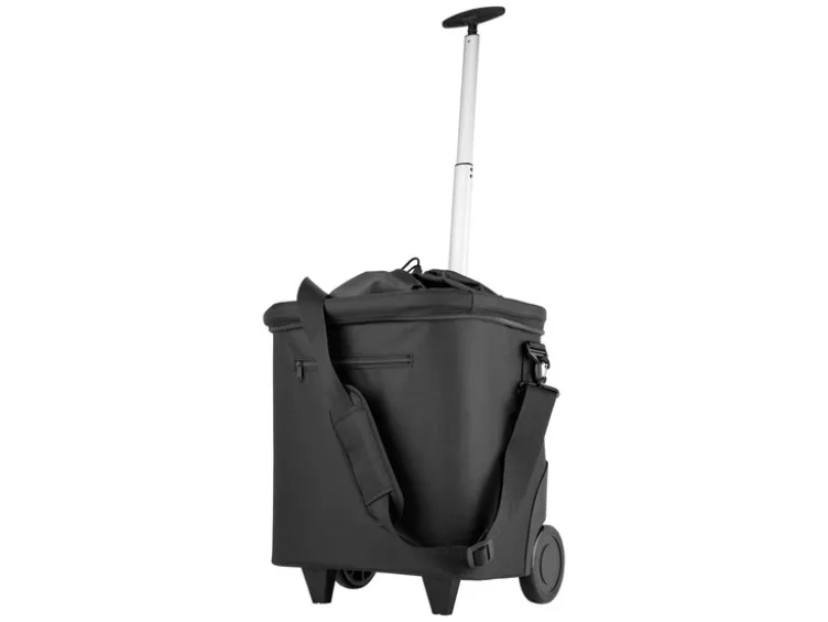 Einkaufstrolley, 40 l, mit Teleskopgriff und Innentasche mit Einkaufswagen-Chips