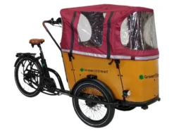 Elektrolastenfahrrad Family-Cargo 250 W