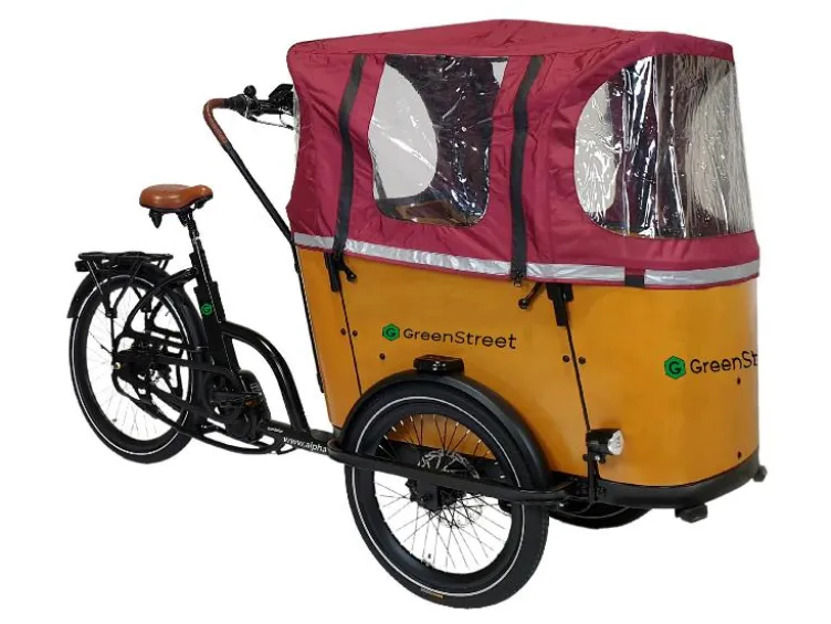 Elektrolastenfahrrad Family-Cargo 250 W